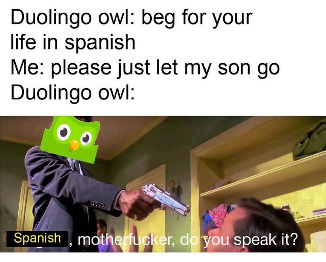 beg for your life in spanish duolingo owl meme