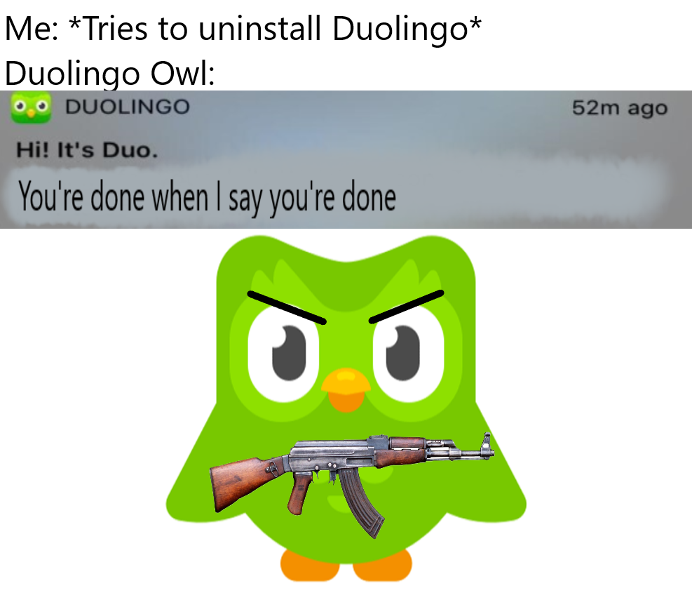 you're done when i say your done - duolingo owl meme holding a rifle.