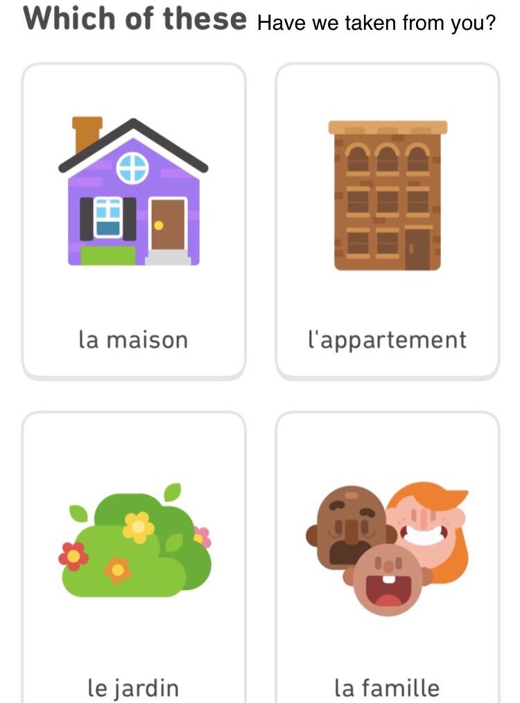 Which of these have we taken from you - evil duolingo owl memes