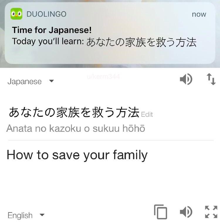 Today you'll learn how to save your family - duolingo bird memes