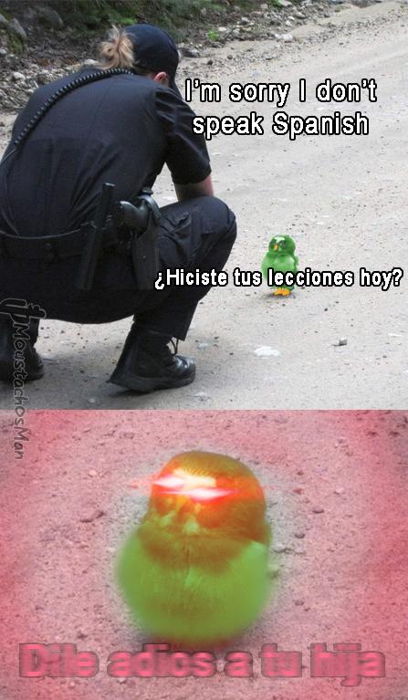 Spanish Or Vanish Meme