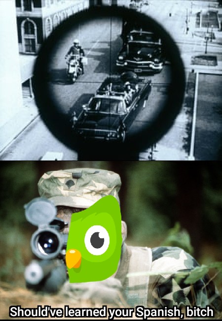 duolingo owl meme where the owl is looking through the scope of a gun