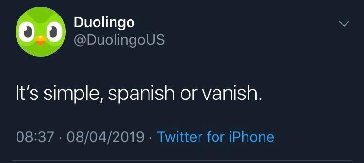 It's simple. Spanish or vanish - duolingo owl meme