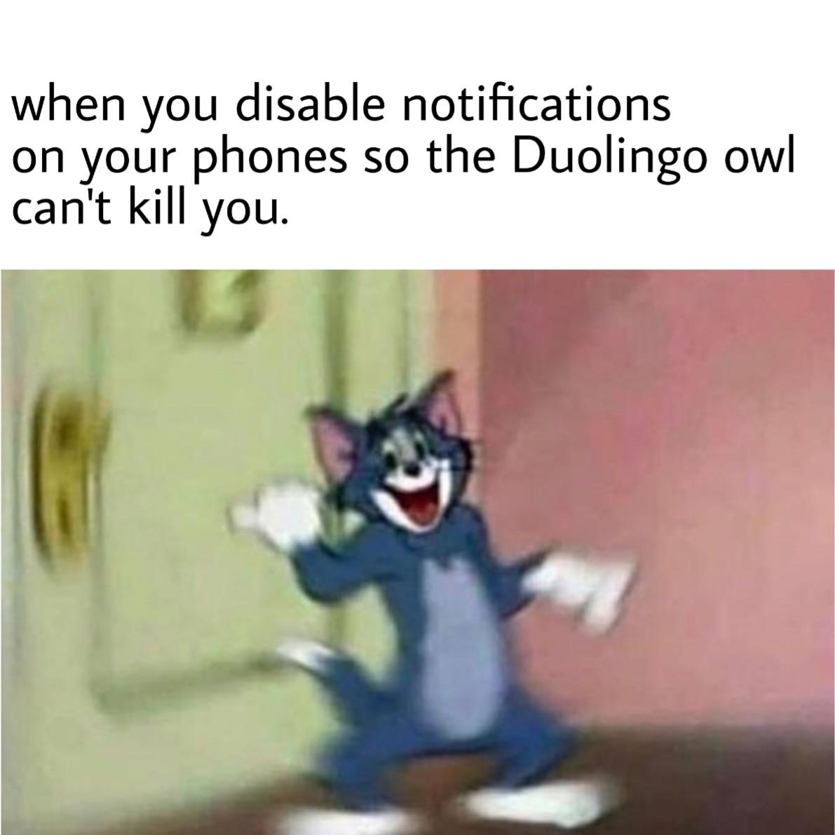 When you disable notifications on your phones so the Duolingo owl can't kill you meme