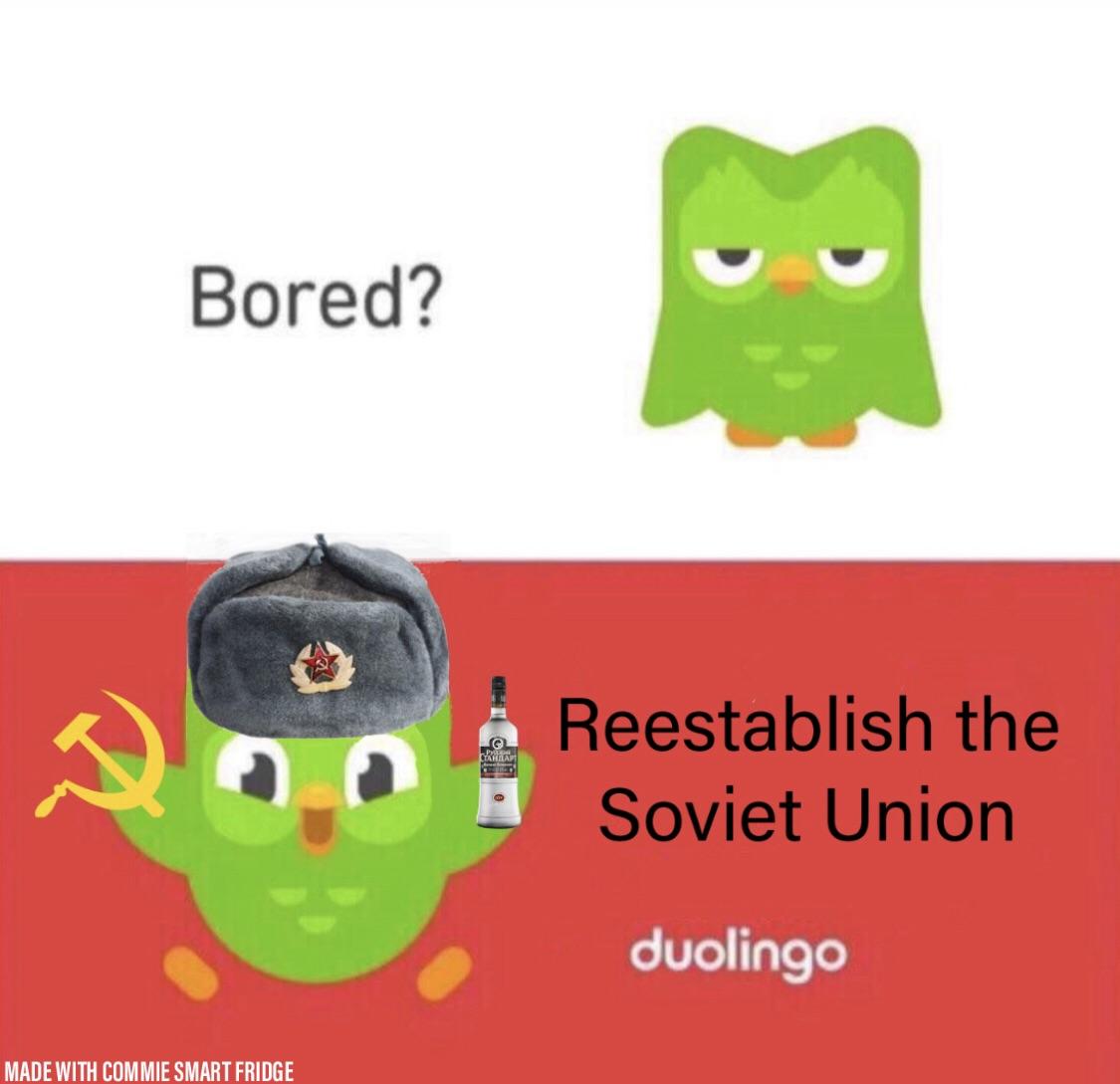 Bored? reestablish the soviet union duolingo owl meme