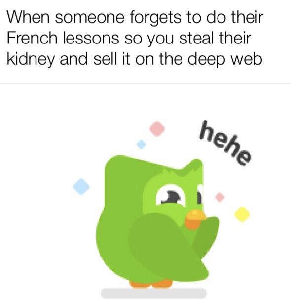 When someone forgets to do their french lessons so you steal their kidney and sell it on the deep web duolingo meme
