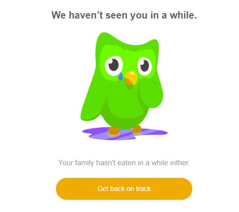We haven't seen you in a while duolingo bird memes
