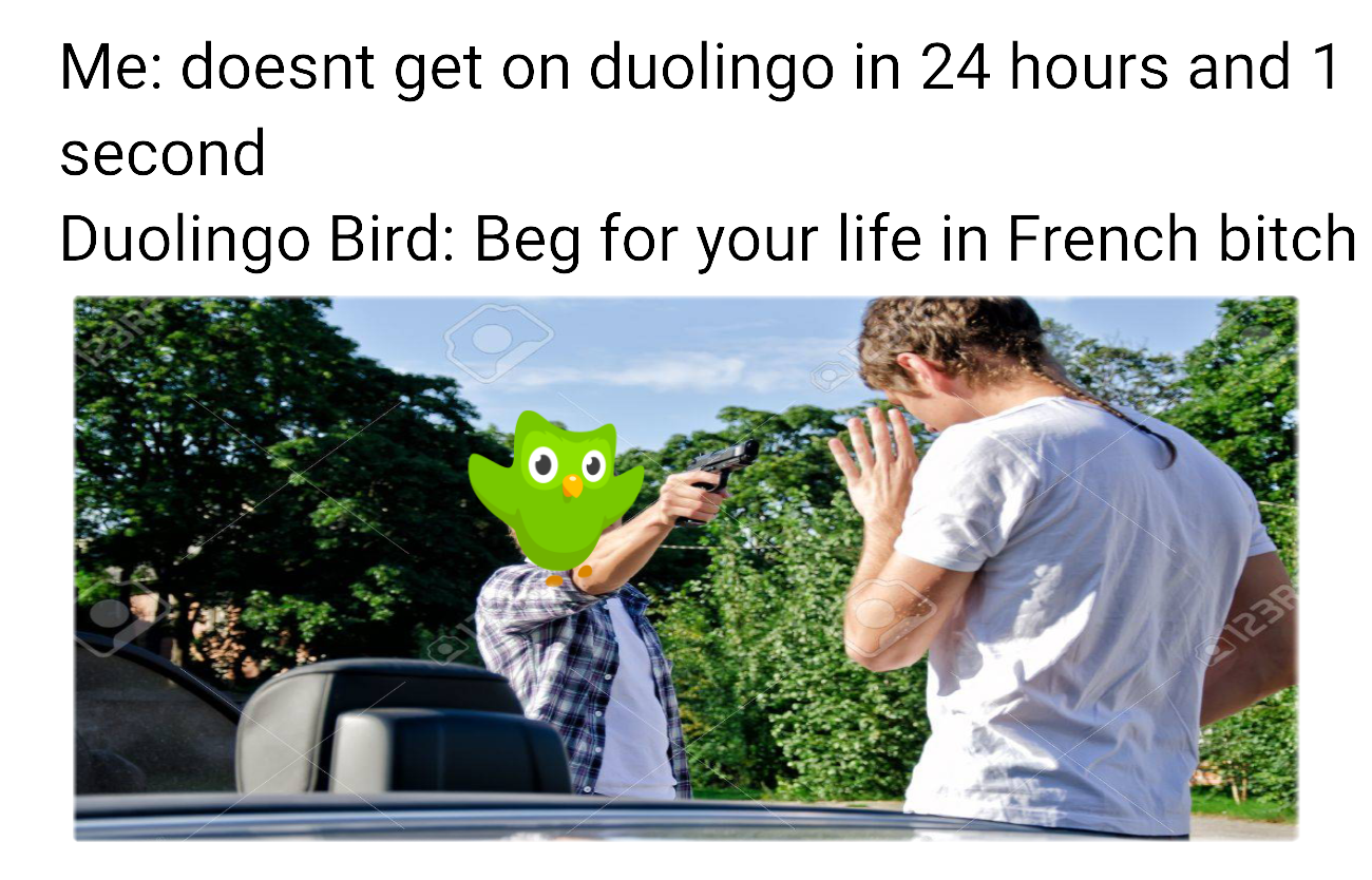 Doesn't get on duolingo in 24 hours and 1 second. Duolingo bird: beg for your life. Duolingo bird memes.