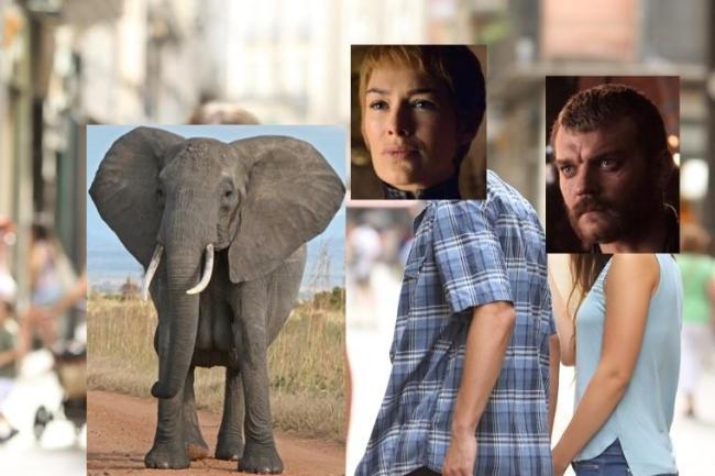 Game of Thrones season 8 memes with Cersei and Euron Greyjoy looking at an elephant