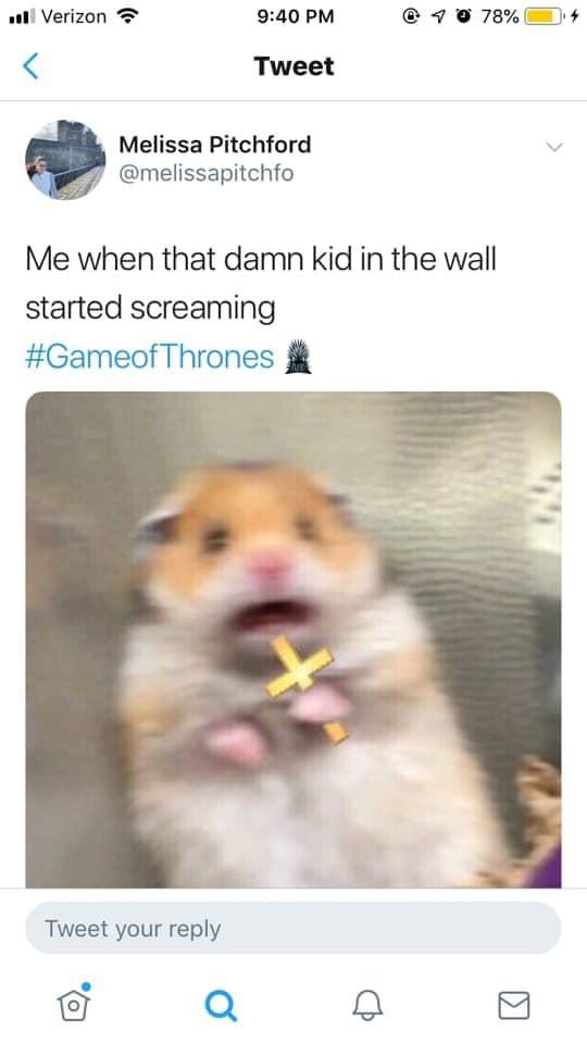 Me when that damn kid in the wall started screaming - Game of Thrones Season 8 meme