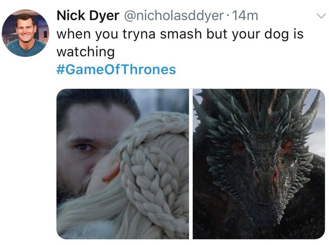When you tryna smash but your dog is watching. Game of Thrones season 8 meme.