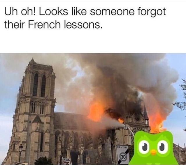 Notre Dame fire Duolingo meme - Uh oh! Looks like someone forgot their French lessons.