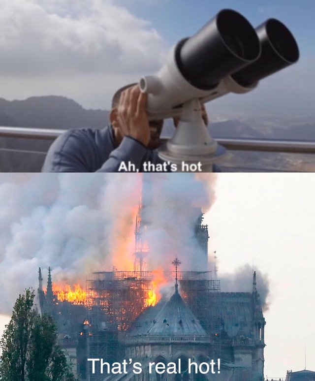 That's real hot - Notre Dame fire meme