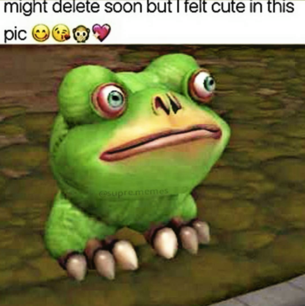 might delete later but I felt cute in this pic meme of a frog