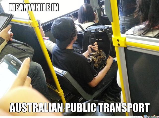 Hilarious 'Public Transport' Memes