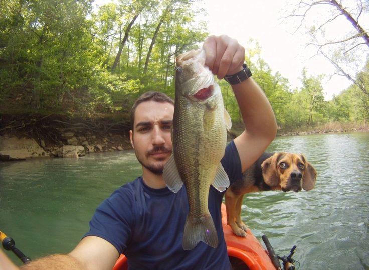 24 People Who Got Photobombed By Animals Out of Nowhere