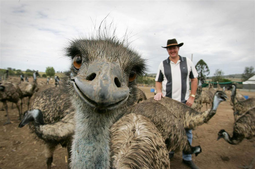 24 People Who Got Photobombed By Animals Out of Nowhere