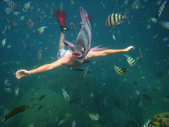 24 People Who Got Photobombed By Animals Out of Nowhere