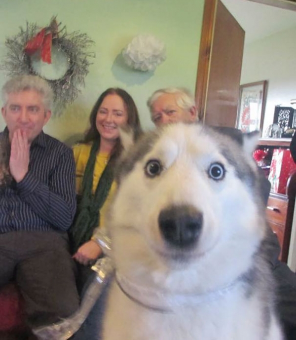 24 People Who Got Photobombed By Animals Out of Nowhere