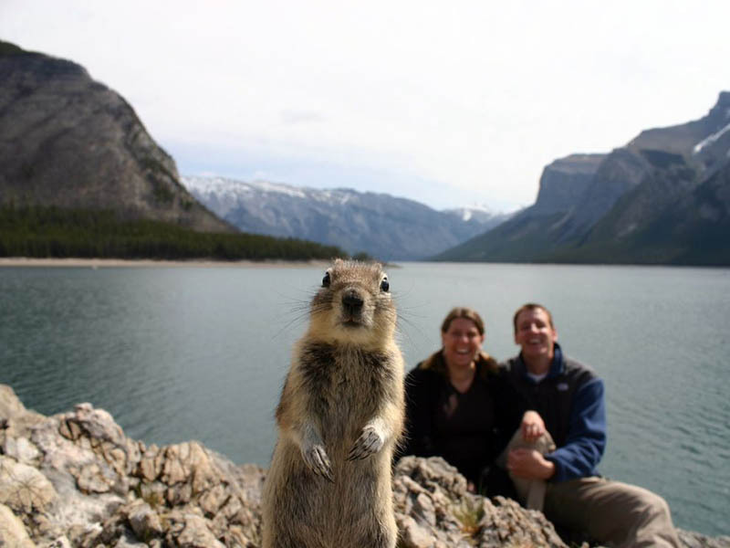 24 People Who Got Photobombed By Animals Out of Nowhere