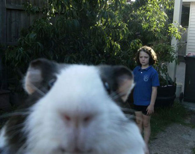 24 People Who Got Photobombed By Animals Out of Nowhere