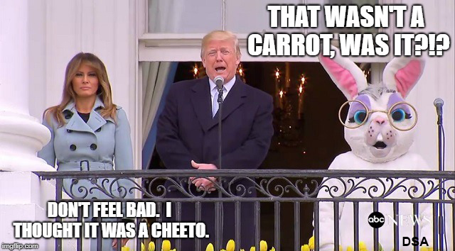 Trump Meme