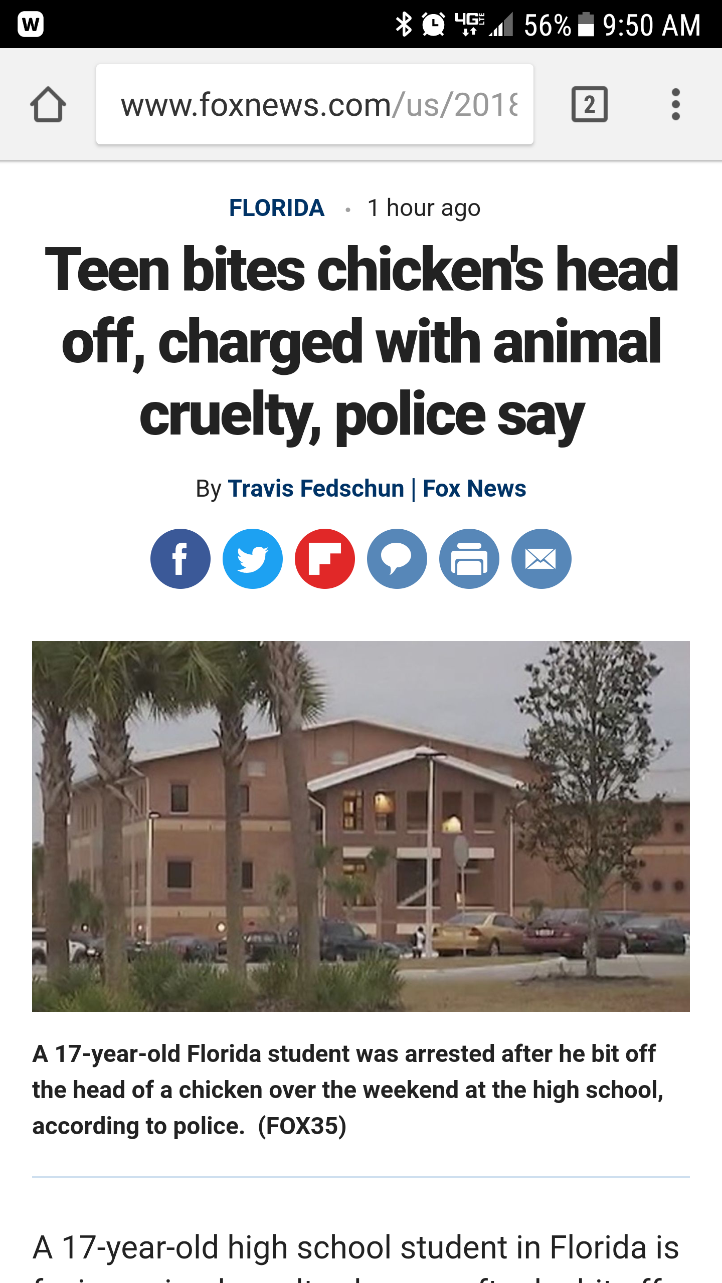 7 WTF Headlines That Can Only Have Come From Florida