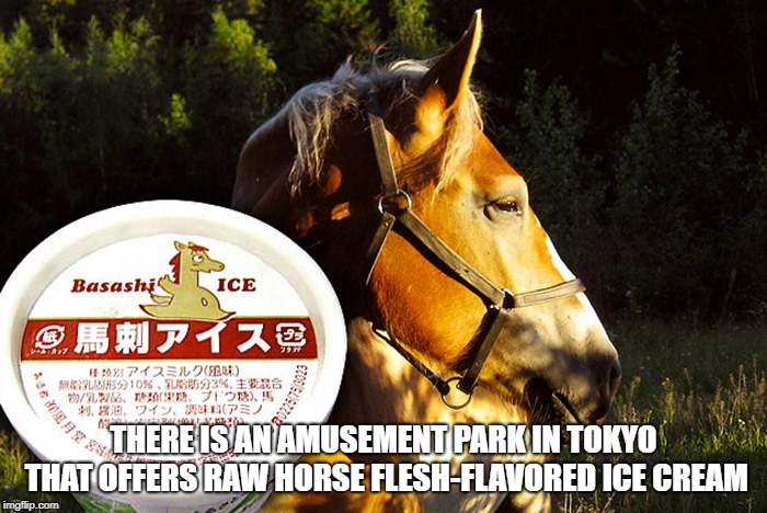 wtf facts - amusement park in Tokyo serves horse flavored ice cream