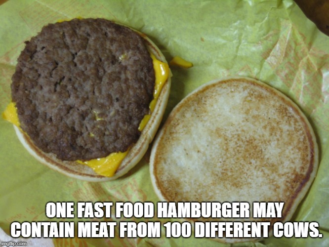 wtf facts - dish - One Fast Food Hamburger May Contain Meat From 100 Different Cows. imgflip.com