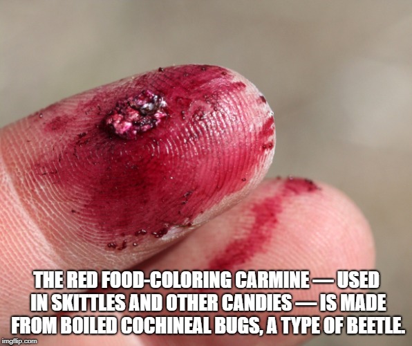wtf facts - nail - The Red FoodColoring Carmine Used In Skittles And Other Candies Is Made From Boiled Cochineal Bugs. A Type Of Beetle imgflip.com