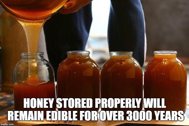 wtf facts - fruit preserve - Honey Stored Properly Will Remain Edible For Over 3000 Years imgflip.com