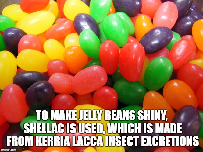 wtf facts - jelly bean - To Make Jelly Beans Shiny, Shellac Is Used, Which Is Made From Kerria Lacca Insect Excretions imgflip.com