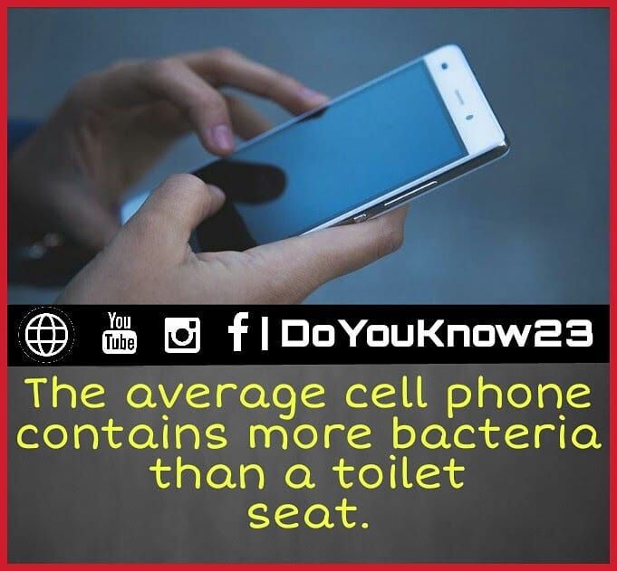 Cell Phone Facts And Studies