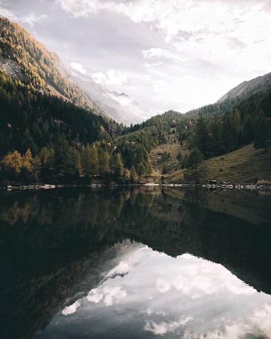 No Reading, No Memes *JUST AWESOME Pics #8*