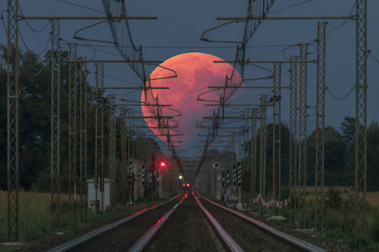 No Reading, No Memes *JUST AWESOME Pics #8*