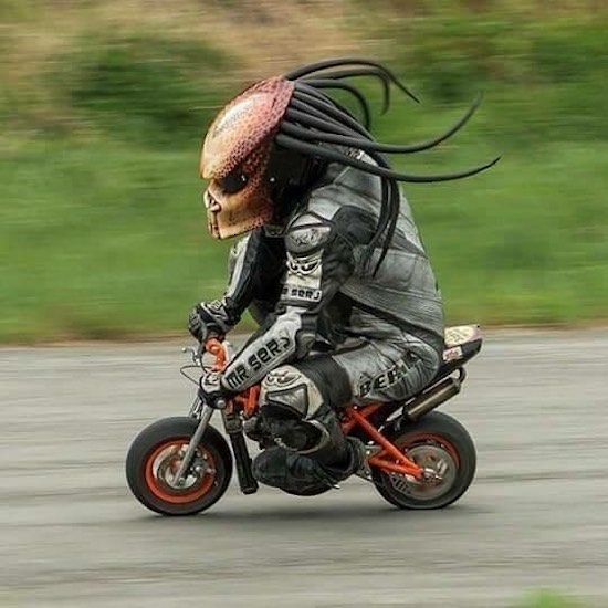 No Reading, No Memes *JUST AWESOME Pics #8*