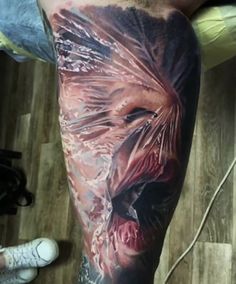 No Reading, No Memes *JUST AWESOME Pics #8*