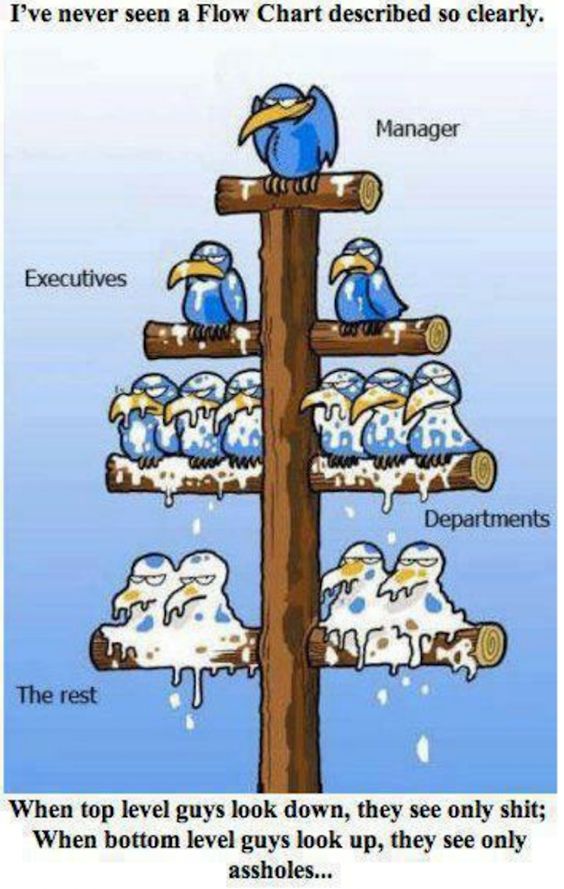ve never seen a flow chart described so clearly - I've never seen a Flow Chart described so clearly. Manager Executives Departments chrono The rest When top level guys look down, they see only shit; When bottom level guys look up, they see only assholes..