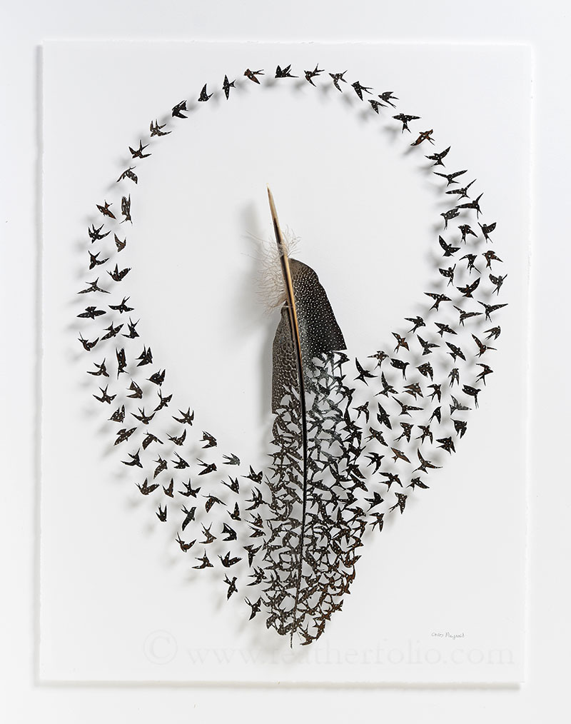 chris maynard feather art - f} , 8 Ca