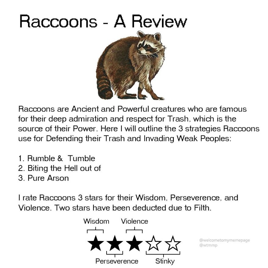 Someone Wrote Hysterical Animal Reviews and Rankings, and It's Top Notch