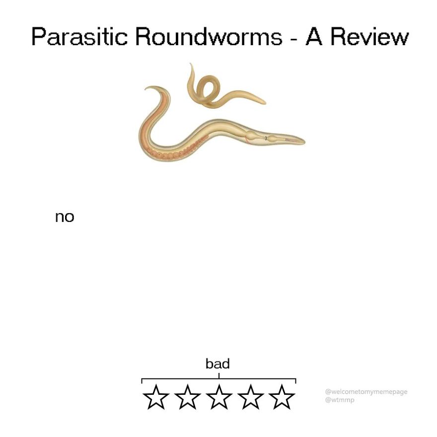 Someone Wrote Hysterical Animal Reviews and Rankings, and It's Top Notch