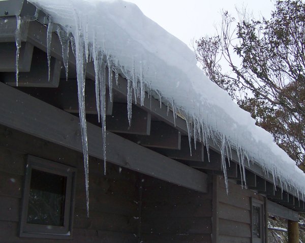 Falling icicles kill about 15 people in the U.S. each year.