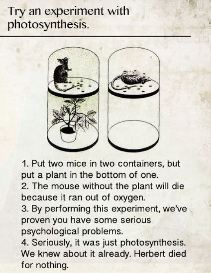 fact photosynthesis experiment meme - Try an experiment with photosynthesis. 1. Put two mice in two containers, but put a plant in the bottom of one. 2. The mouse without the plant will die because it ran out of oxygen. 3. By performing this experiment, w