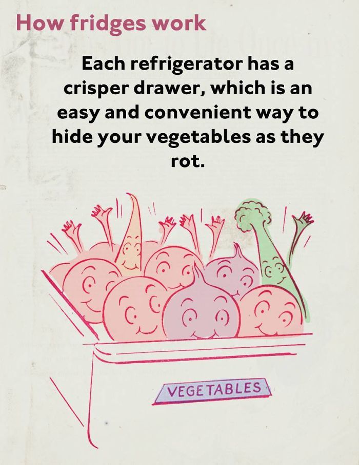 fact cartoon - How fridges work Each refrigerator has a crisper drawer, which is an easy and convenient way to hide your vegetables as they rot. Vegetables