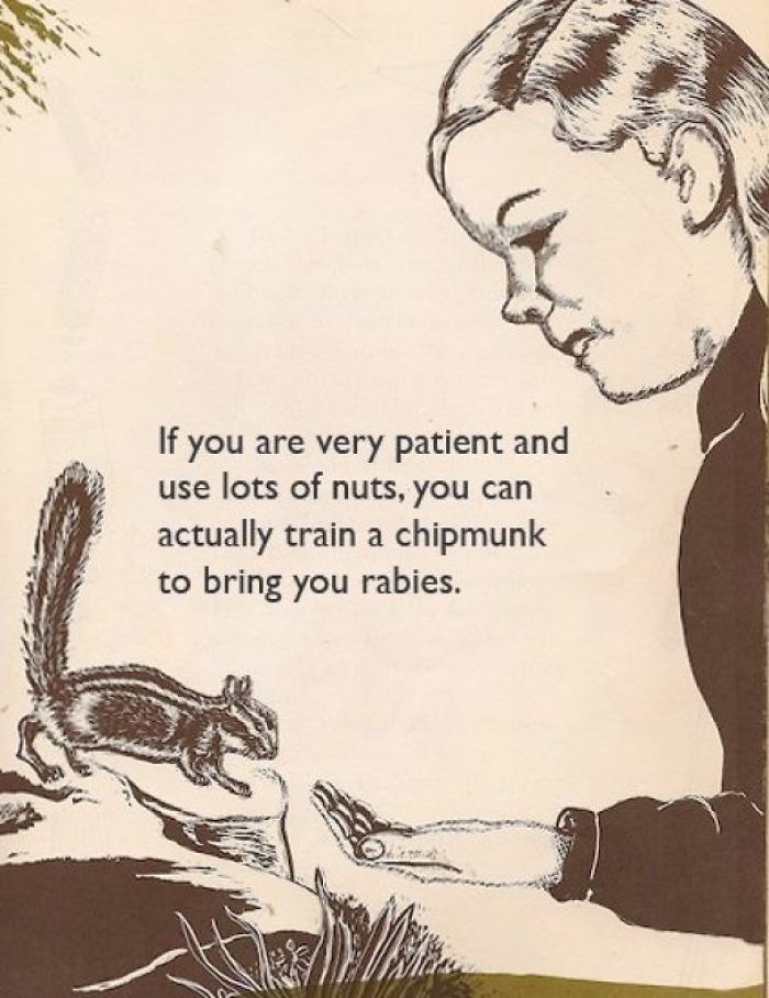 fact cartoon - If you are very patient and use lots of nuts, you can actually train a chipmunk to bring you rabies.
