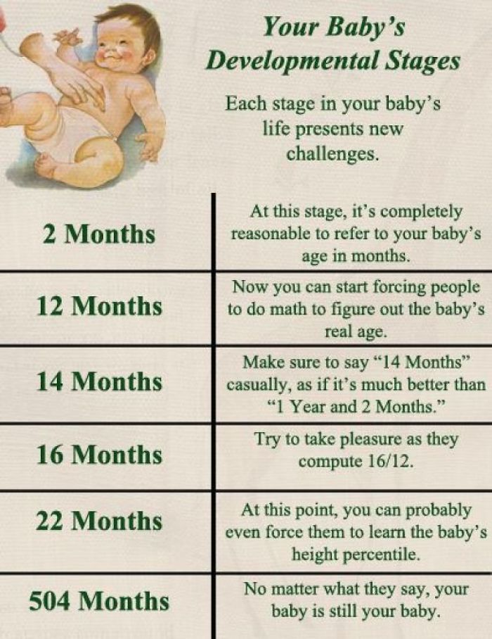 fact baby ages and stages - Your Baby's Developmental Stages Each stage in your baby's life presents new challenges. 2 Months 12 Months At this stage, it's completely reasonable to refer to your baby's age in months. Now you can start forcing people to do