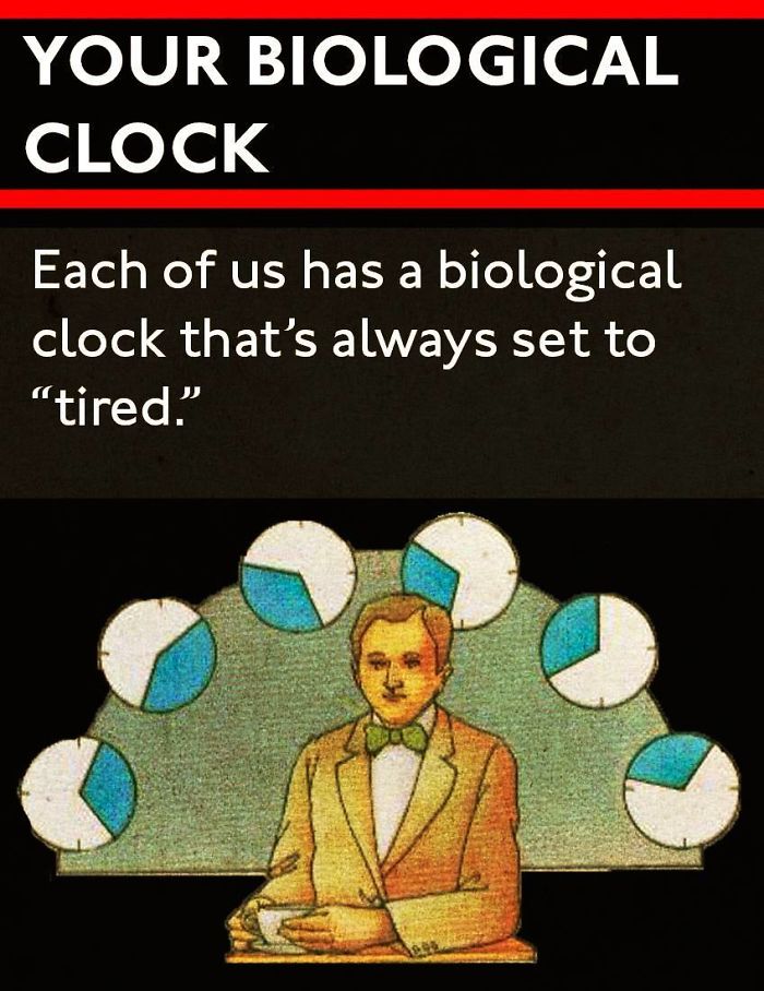 fact sunday meme imgur - Your Biological Clock Each of us has a biological clock that's always set to "tired.