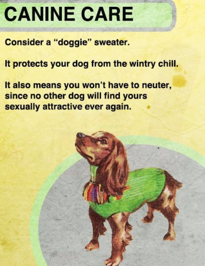fact vintage dog - Canine Care Consider a "doggie" sweater. It protects your dog from the wintry chill. It also means you won't have to neuter, since no other dog will find yours sexually attractive ever again.