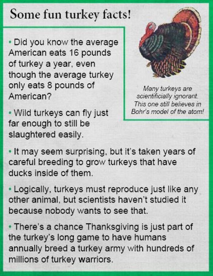 animal - Some fun turkey facts! Did you know the average American eats 16 pounds of turkey a year, even though the average turkey only eats 8 pounds of Many turkeys are American? scientificially ignorant. This one still believes in Wild turkeys can fly ju