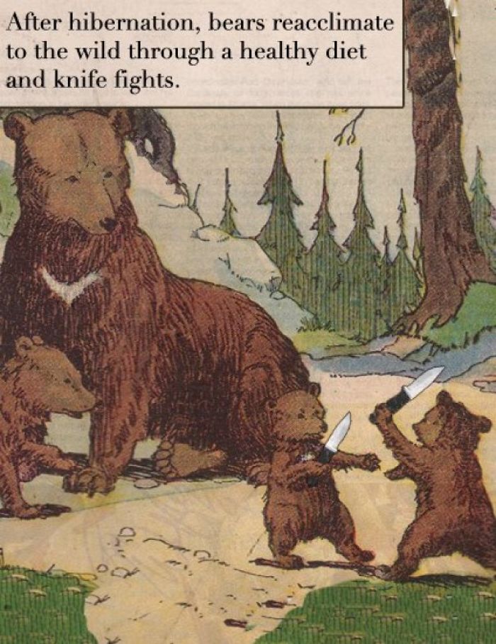 bear knife fight - After hibernation, bears reacclimate to the wild through a healthy diet and knife fights.